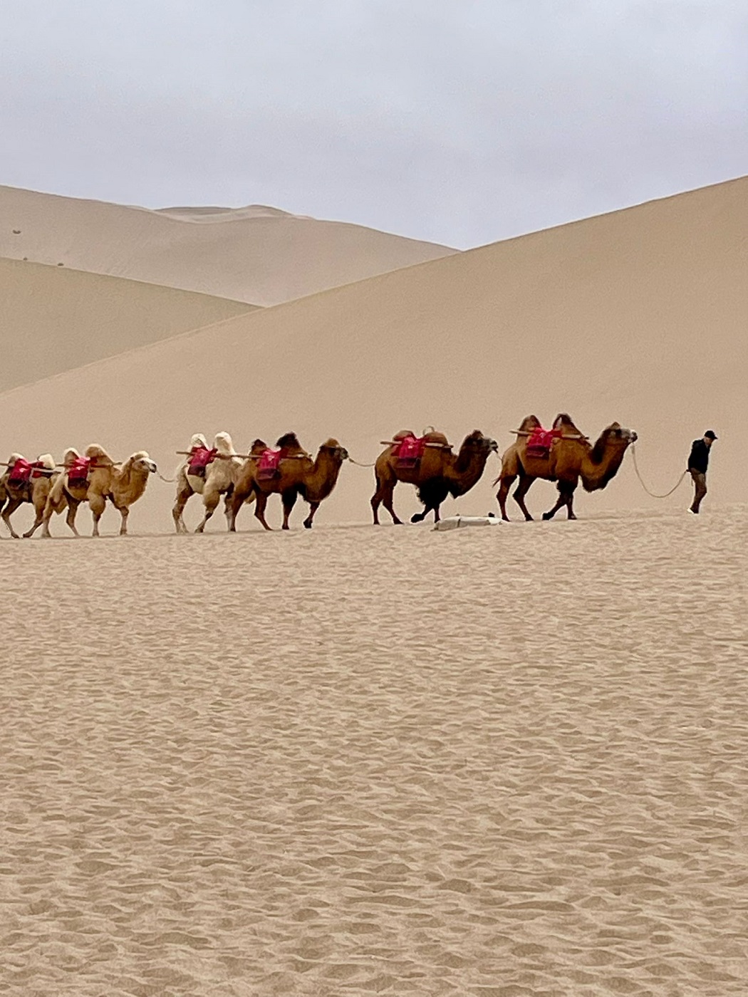 Viaggio in Cina Silvia Ronzoni