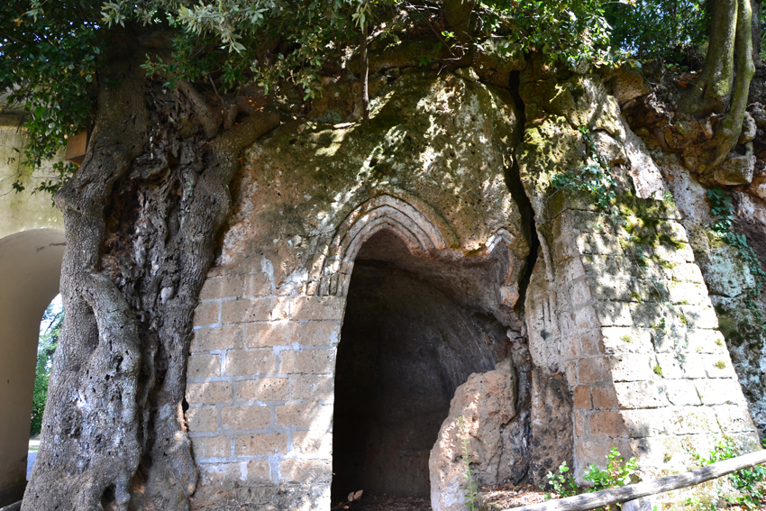Sutri. Parco Sentiero Natura - Il Grande Leccio