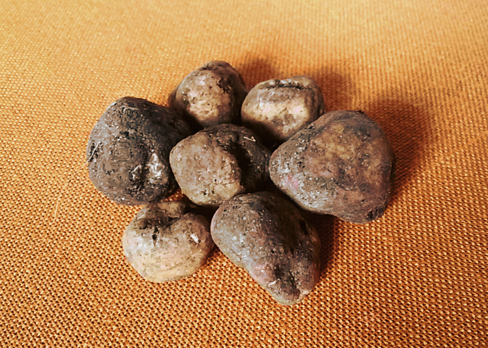 Blera. Festa del Tartufo e dei Prodotti Tipici Biologici