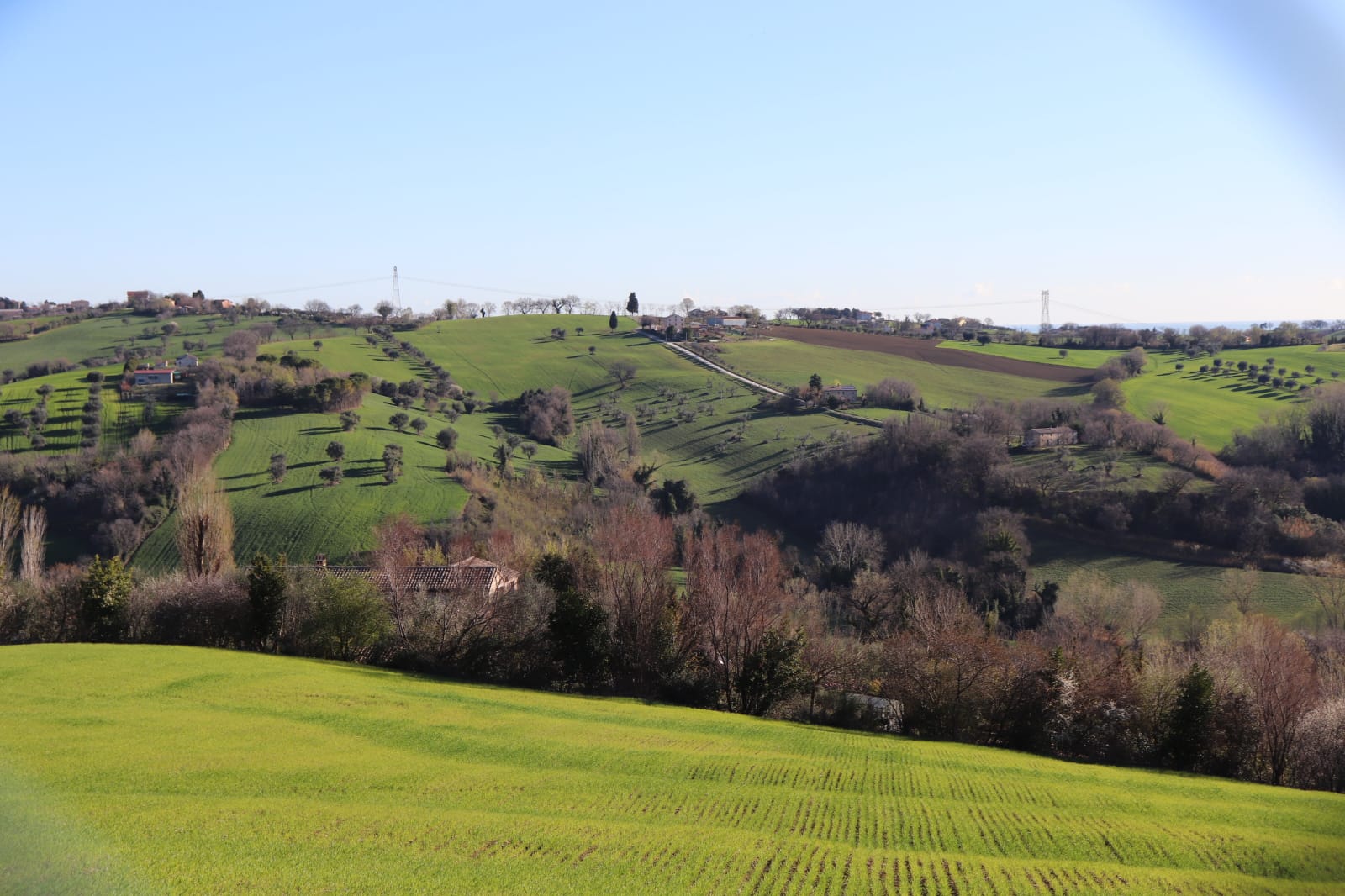 Marche by Benedicta Mary Lee