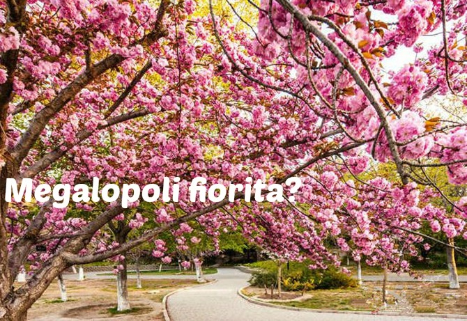 Dove siamo nel mondo?