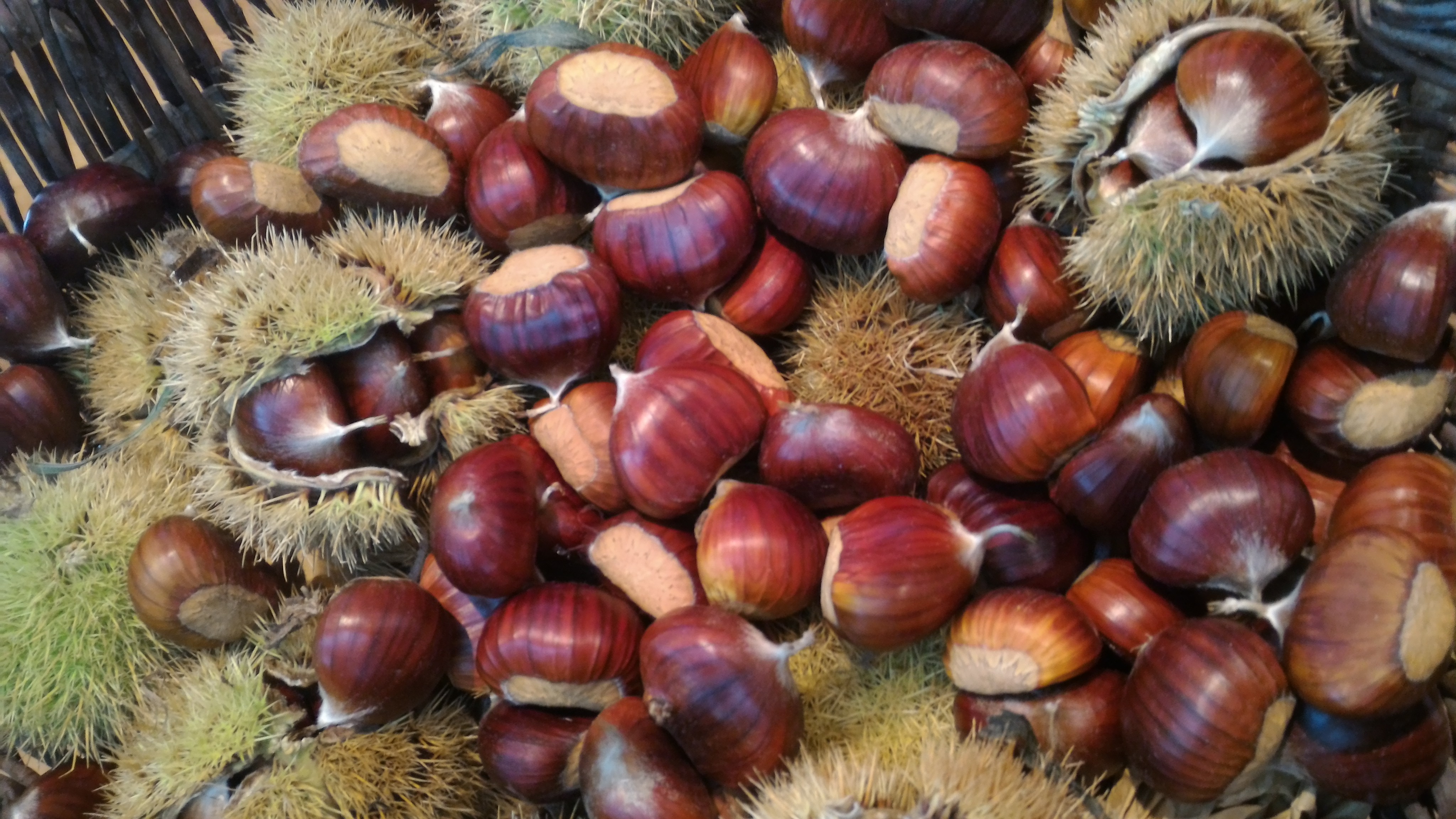 Terelle. Sagra della castagna