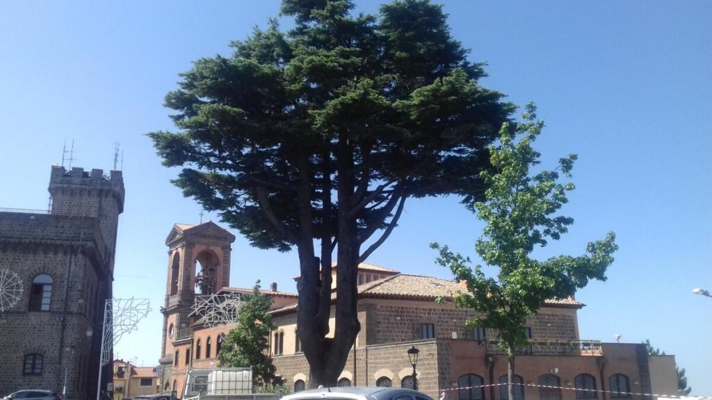 Rocca Priora, a sweet village on a steep slope
