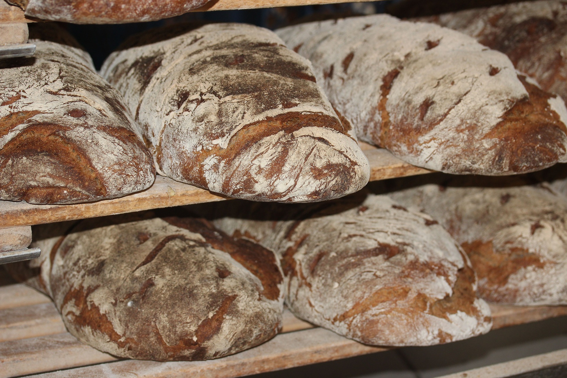 Genzano di Roma. Festa del Pane Casareccio
