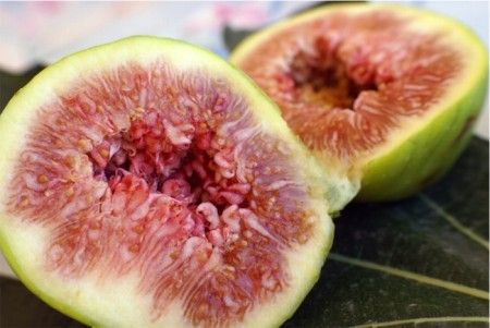 Fellacciano Fico di Bellegra