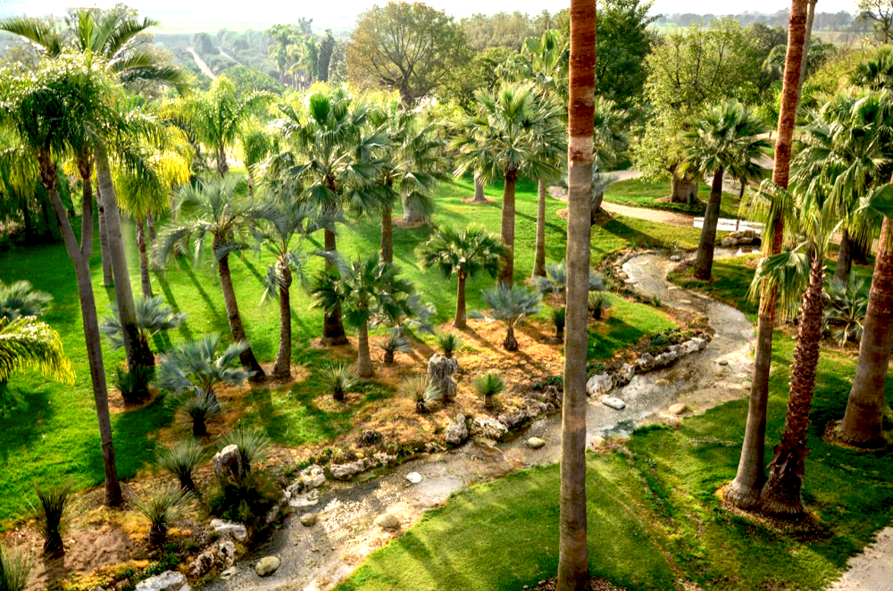 Pontinia, il ‘Parco dei continenti’ si svela