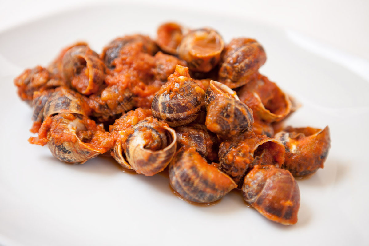 Monte Romano. Lumache