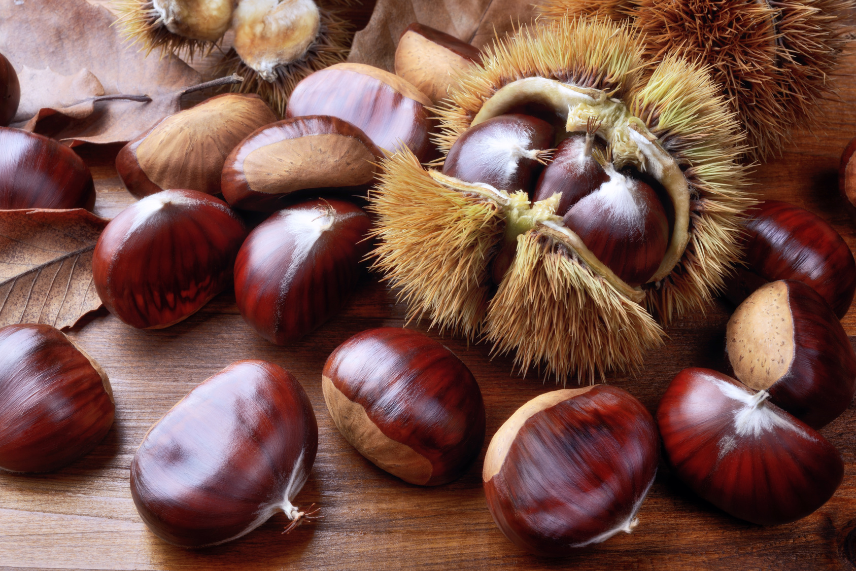 Soriano nel Cimino. Il marrone dei Monti Cimini