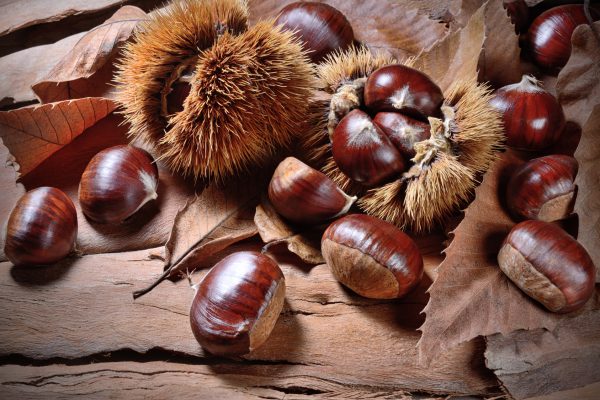 Antrodoco. Marroni Antrodocani