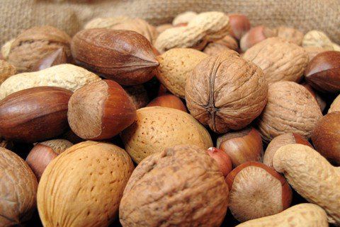 Noci e nocciole