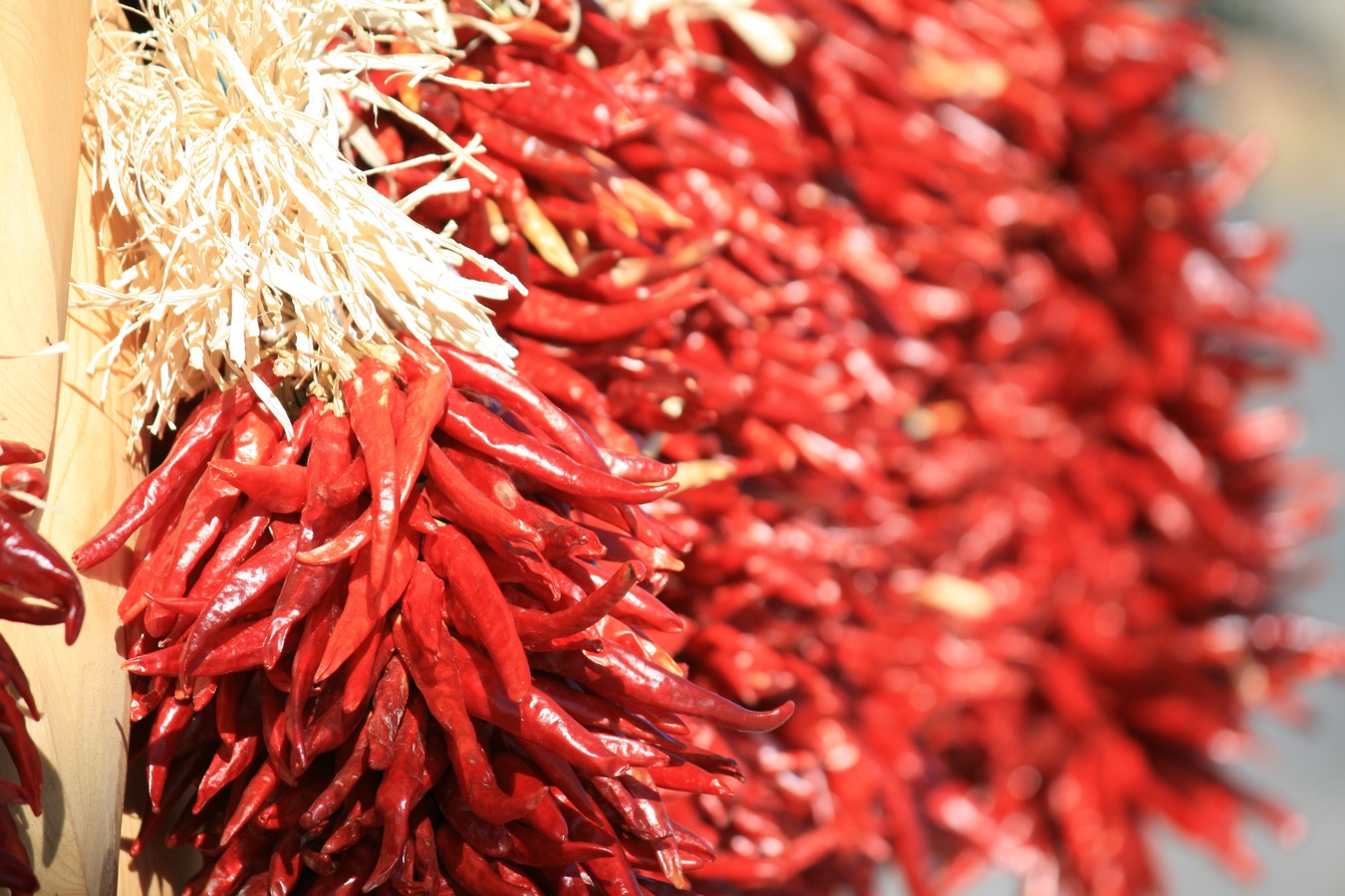 Segni. Festa del Peperoncino