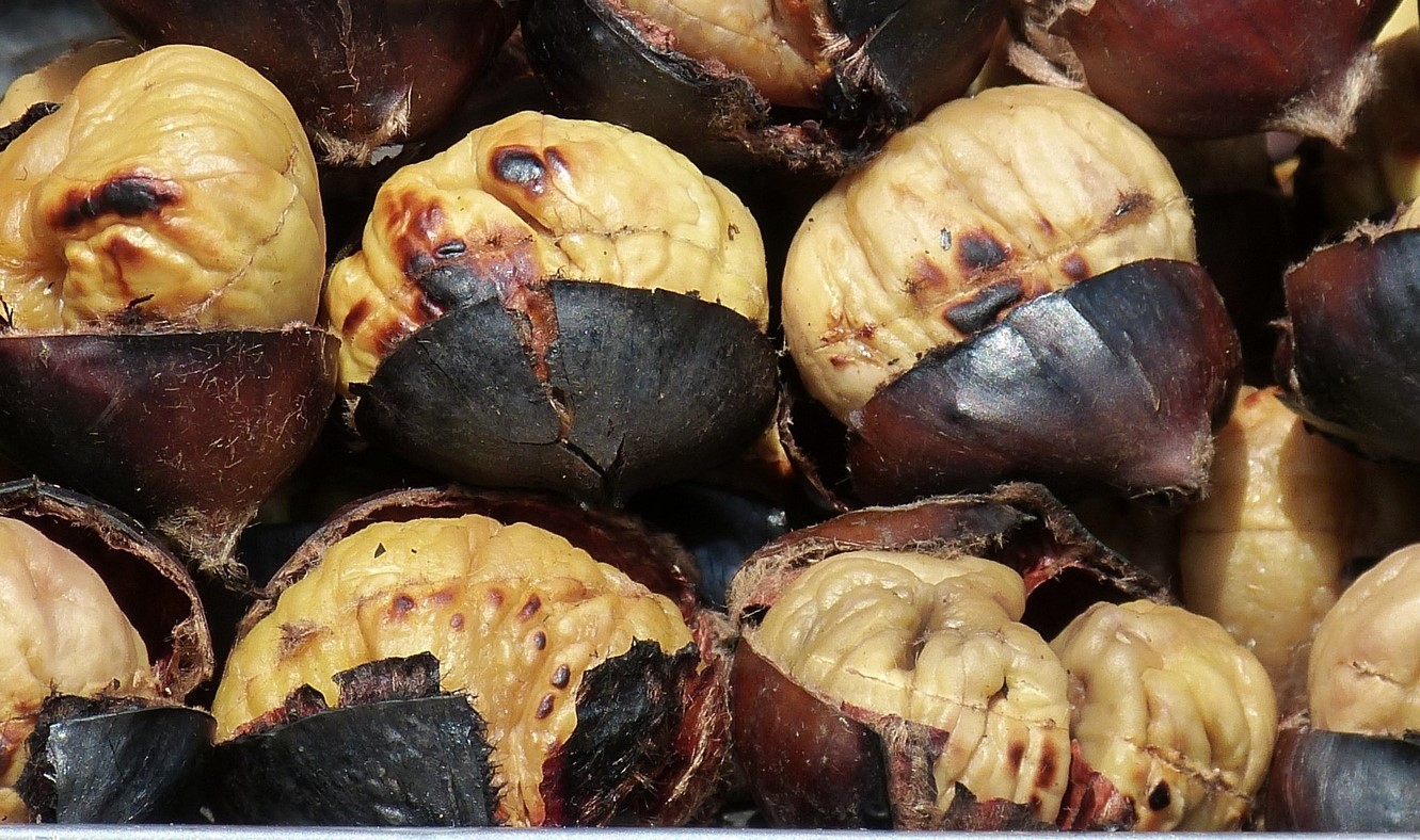  Tartufi e Castagne