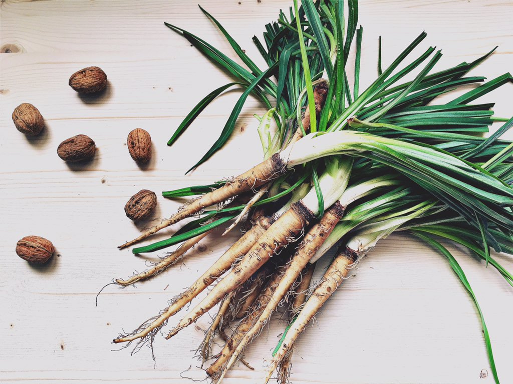 Zagarolo. Le Sarzefini