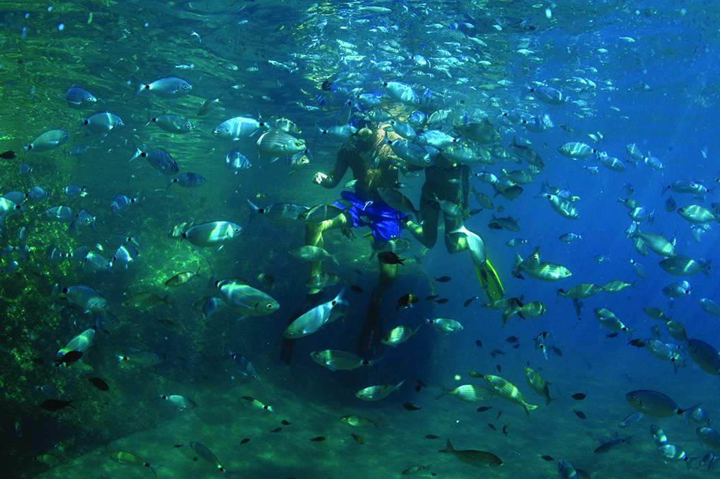 Ventotene. Snorkeling