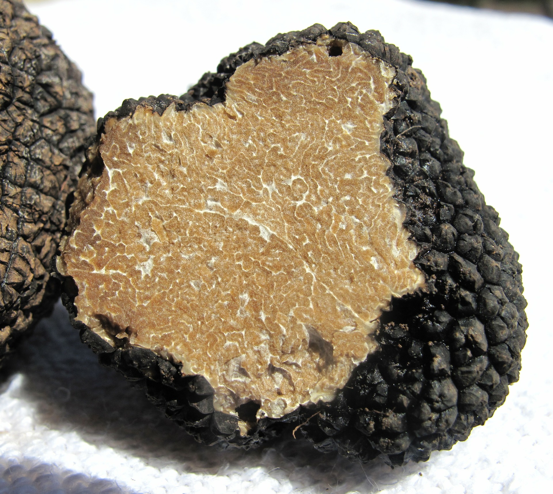 Labro. Sagra del tartufo